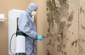 Best Industrial Mold Remediation  in Tarrytown, NY